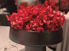 -星·South Beauty·俏江南(国贸店)