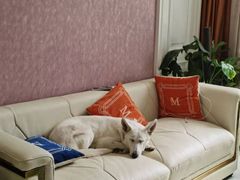 -宠福鑫康馨动物医院·骨科·眼科