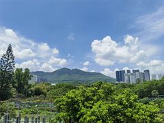 -深圳野生动物园