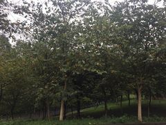 -华南师范大学(广州大学城校区)