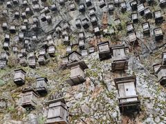 -神农架景区