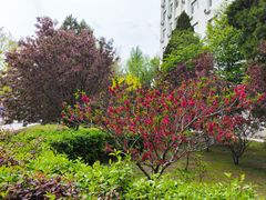 -东北大学(南湖校区)