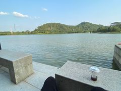 -顺峰山公园