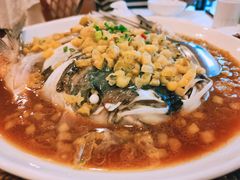 -庐州太太(信地店)