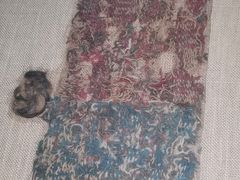 -巴音郭楞蒙古自治州博物馆