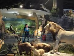 -陕西自然博物馆