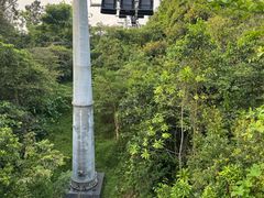 -圣淘沙天际线斜坡滑车