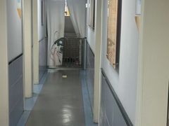 -渲嗳动物医院(异宠·复杂内科转诊中心·玖洲道富华里分院)