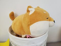 -五进制 Coffee Shop