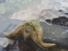 -水岸居湖景农家乐·阳澄湖大闸蟹