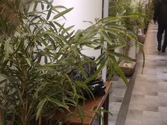 -徽镇小厨·经典徽菜(十里河店)