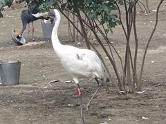 -哈尔滨北方森林动物园