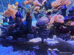 -南昌融创海世界
