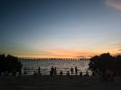 -宝安西湾红树林湿地公园