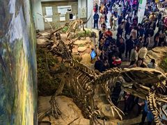 -自贡恐龙博物馆