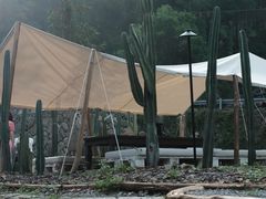 -MOJ coffee(瓯海泽雅水碓坑店)