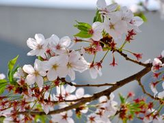 -龙美术馆(西岸馆)
