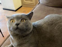 -Me Coffee下午茶艺术空间