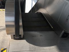 -桃浦新村(地铁站)