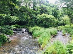 -玉泉威虎山森林公园