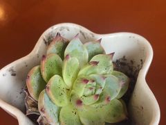 -万豪咖啡厅(JW万豪酒店店)