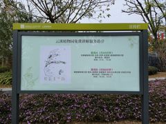 -云溪植物园