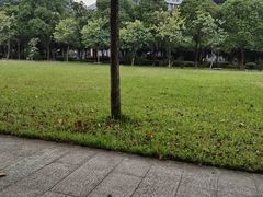 -华南师范大学(广州大学城校区)