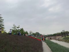 -光明小镇欢乐田园
