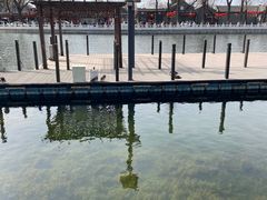 -什刹海