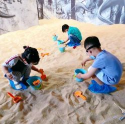 -恐龙探索乐园(磁器口店)