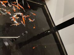 -广州长悦雷克萨斯