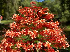 -人民公园(罗湖区)