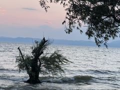 -捞渔河湿地公园