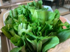 -芭夯兔(人和店)