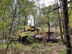 -五营红松林海景区