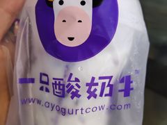 -一只酸奶牛(八一路店)