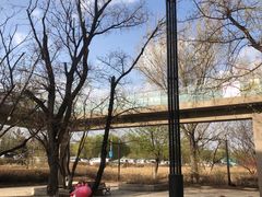 -四川饭店(长白店)