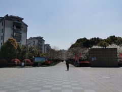 -高东镇樱花园