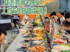 -大橘元自助回转火锅(天河新天地店)