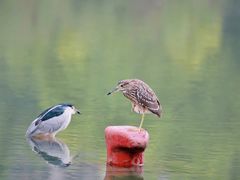 -苏州河梦清园环保主题公园