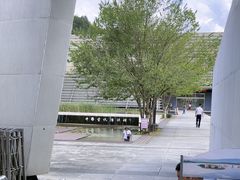 -中国宣纸文化园
