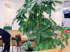 -德克士(宽甸店)