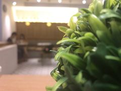 -大熊小厨(七星店)