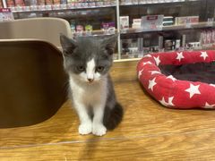 -狗道宠物(常熟印象城店)