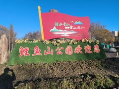-鲤鱼山公园