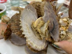 -烁佳海鲜大馅饺子