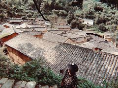 -杨家堂村