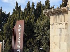 -洛阳古墓博物馆