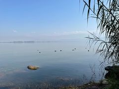 -西昌邛海湾柏樾酒店(原邛海湾柏栎度假酒店)