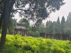 -洛阳白马寺